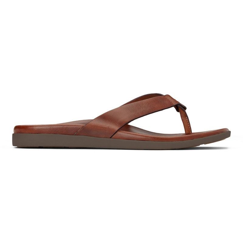 Vionic Elijah Puntera Post Sandal Marrom | nFFSXeOJ