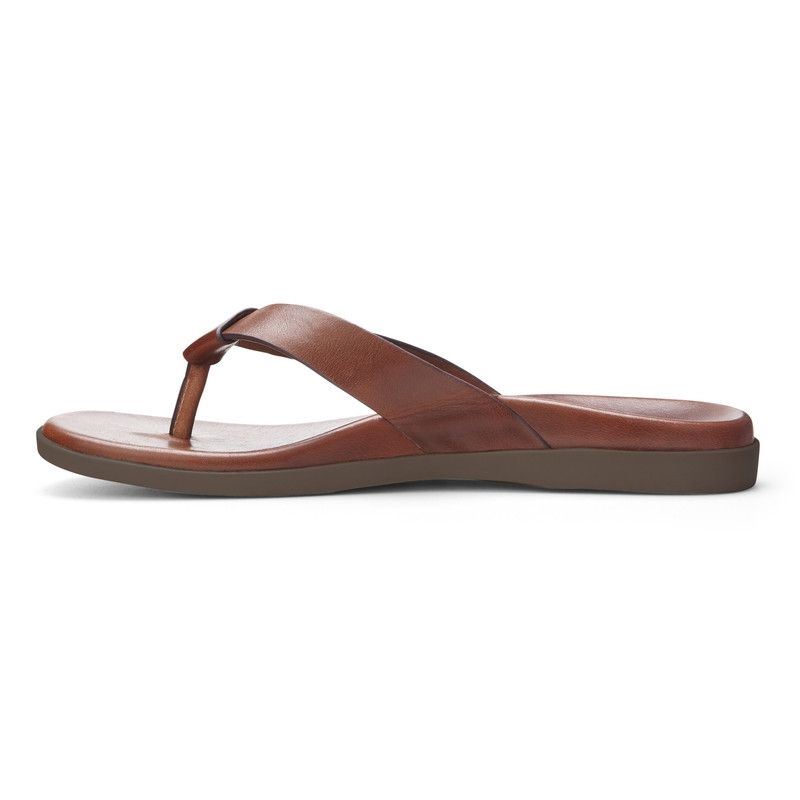 Vionic Elijah Puntera Post Sandal Marrom | nFFSXeOJ