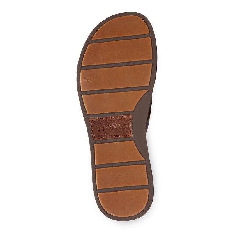 Vionic Elijah Puntera Post Sandal Marrom | nFFSXeOJ