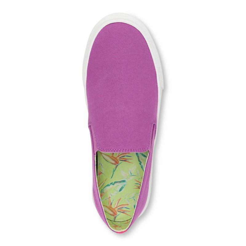 Vionic Groove Slip on Sneaker Morados | eFeDGU2T