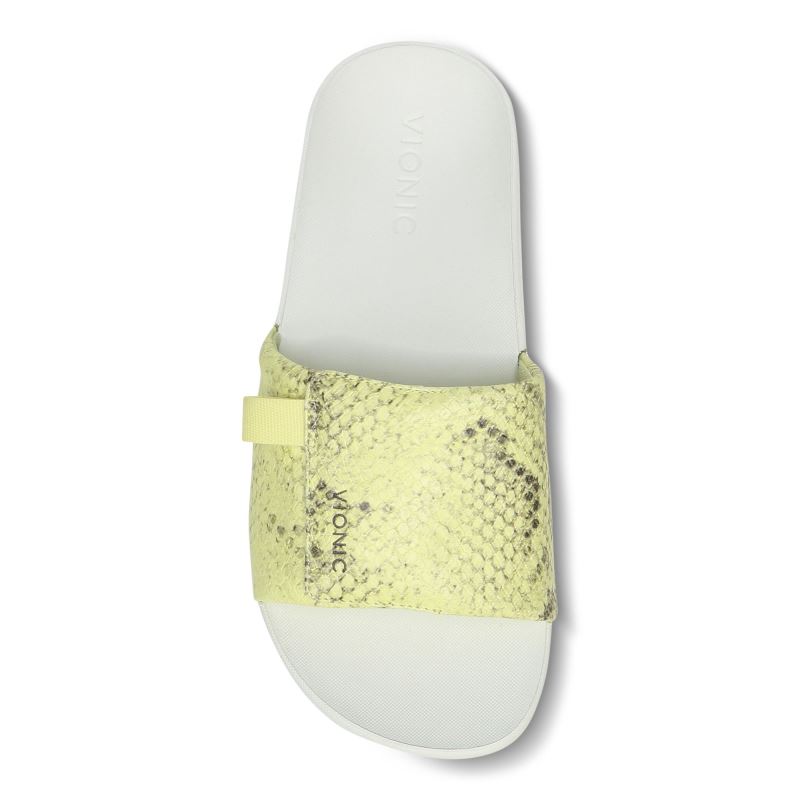 Vionic Keira Chanclas Sandal Serpent | D2wsmPHW