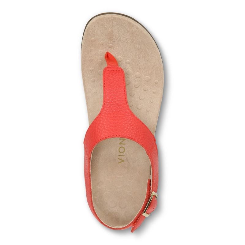 Vionic Terra Sandal Rojos | LRu4adYw