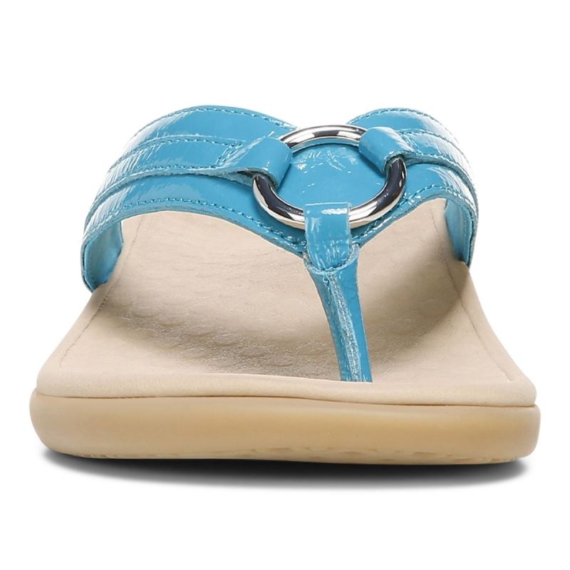 Vionic Tide Aloe Puntera Post Sandal Azules | rdoRuPvA
