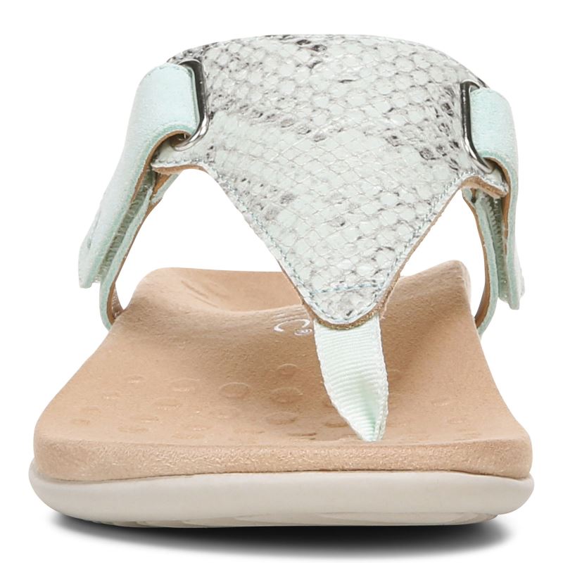 Vionic Wanda T-Correa Sandal Azules | CgfUsvSZ