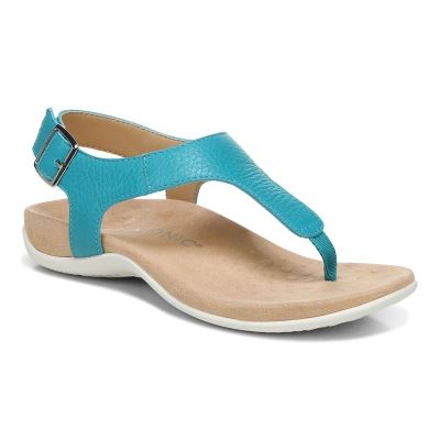 Vionic Terra Sandal Azules | KI00pJjA